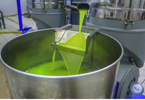 The Mill · Malaxation — Cold extraction in progress