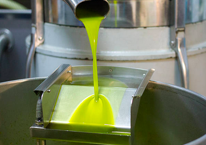 First Pour · Olio Nuovo — Fresh extra virgin olive oil