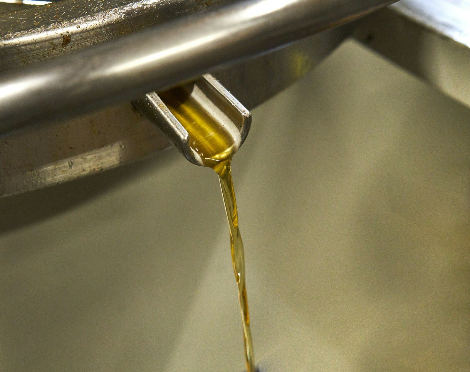 Cold-press olive oil mill with fresh olives and golden extra virgin olive oil